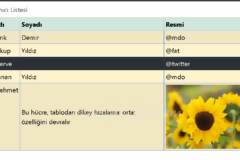 Bootstrap Tablo &Ouml;rnekleri