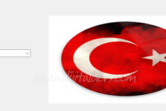 Combobox Kullanımı
