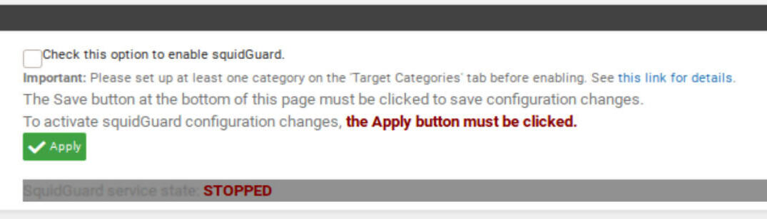 Pfsense Squid ve SquidGuard Paketlerinin Kurulması 2025