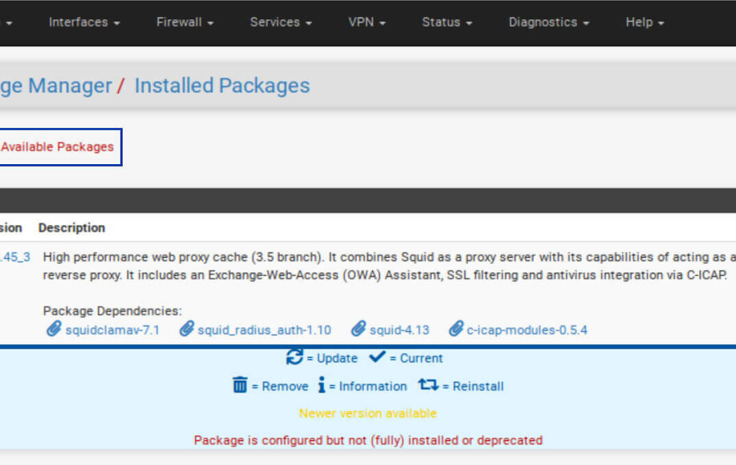 Pfsense Squid ve SquidGuard Paketlerinin Kurulması 2025