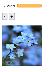 HTML5 Form Yapısı ve Form Elemanları