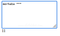 Replace() ve ReplaceAll() Kullanımı