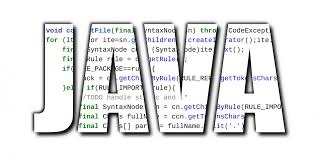 En çok hangi programlama Yazılımı Kullanılmaktadır?