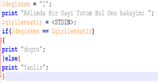 En çok hangi programlama Yazılımı Kullanılmaktadır?