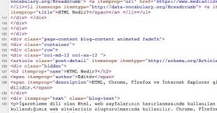 En çok hangi programlama Yazılımı Kullanılmaktadır?